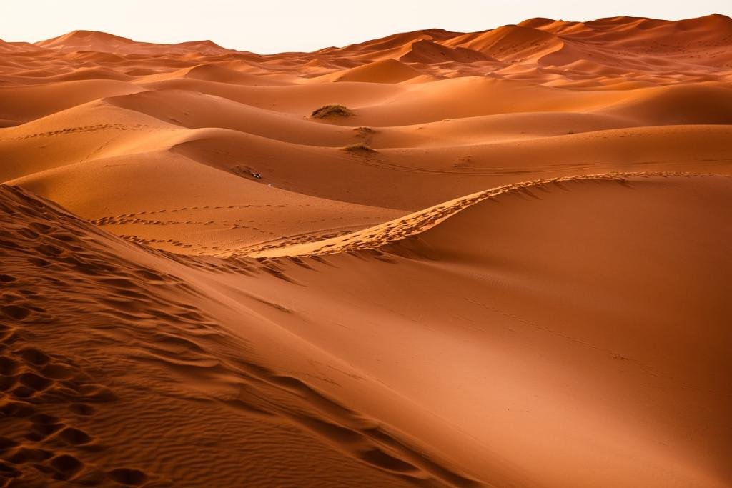 completar-el-dakar-con-gasolina-y-aceite-usado-de-cocina
