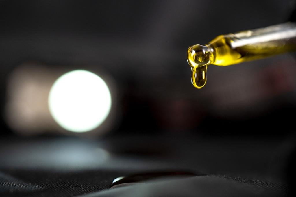 el-diesel-renovable-podria-contener-aceite-de-palma-fraudulento