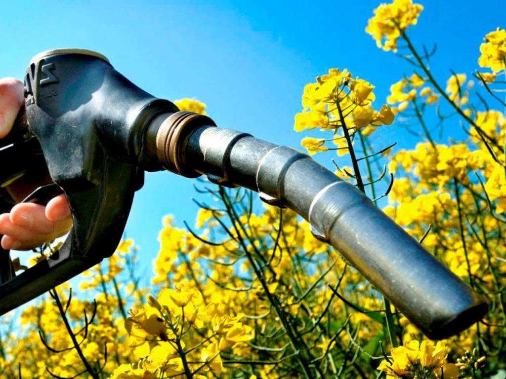 los-biocombustibles-de-residuos-clave-para-la-transicion-energetica