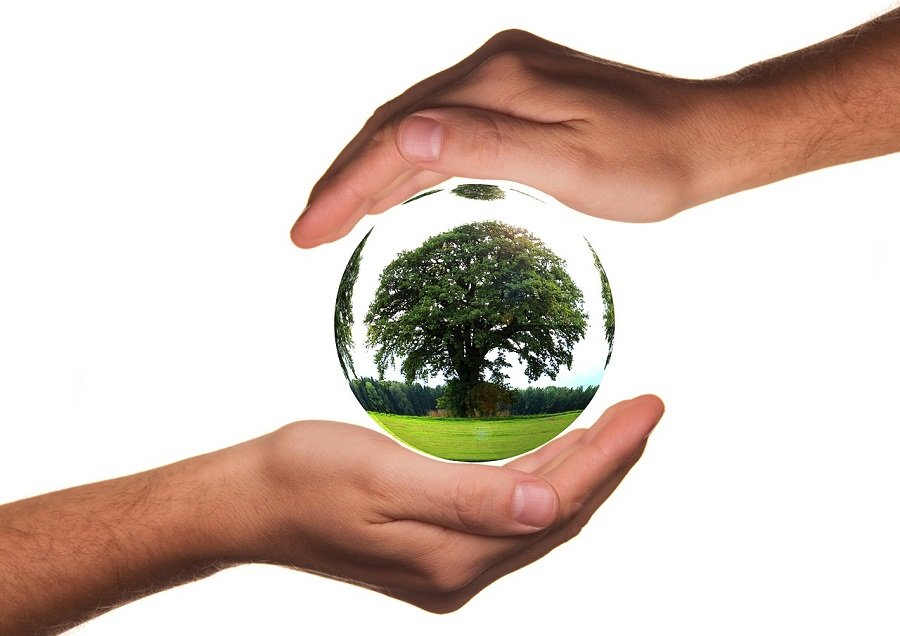 el-gobierno-vasco-convoca-ayudas-para-proteger-el-medio-ambiente