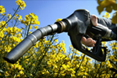 la-ce-pretende-limitar-la-aportacion-de-los-aceites-de-cocina-usados-a-la-nueva-obligacion-de-biocarburantes-renovables-y-o-avanzados-para-2030