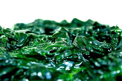 articulo_557_featured-1.jpg
