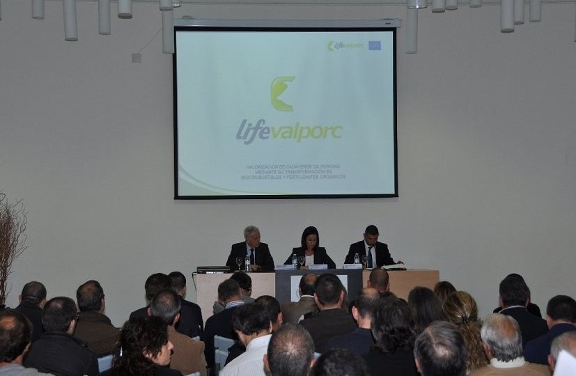articulo_576_featured-1.jpg