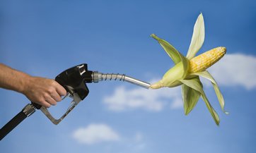 situacion-de-biocombustibles-en-ee-uu
