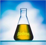 el-gobierno-fija-el-nuevo-objetivo-de-7-de-biodiesel