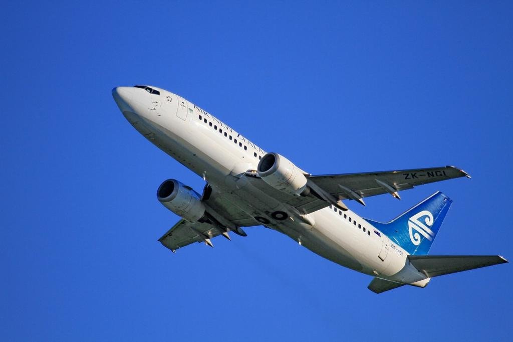los-aviones-volaran-con-aceite-vegetal