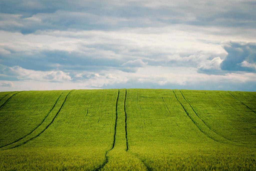biocombustibles-de-cultivos-una-falsa-solucion-que-agrava-el-problema