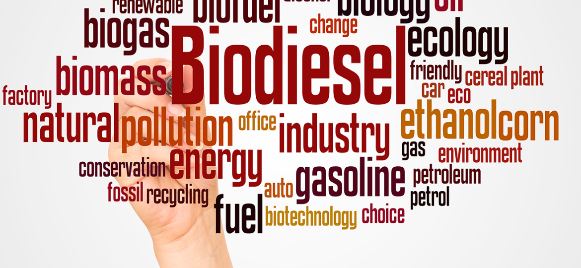El biodiésel consolida su papel en Europa mientras crece el uso de materias primas sostenibles