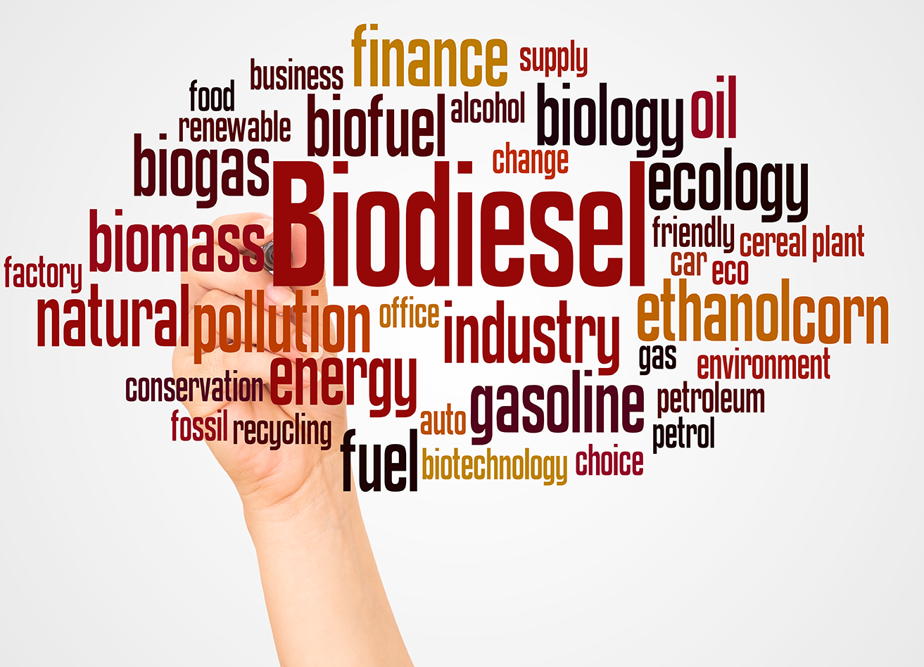 El biodiésel consolida su papel en Europa mientras crece el uso de materias primas sostenibles