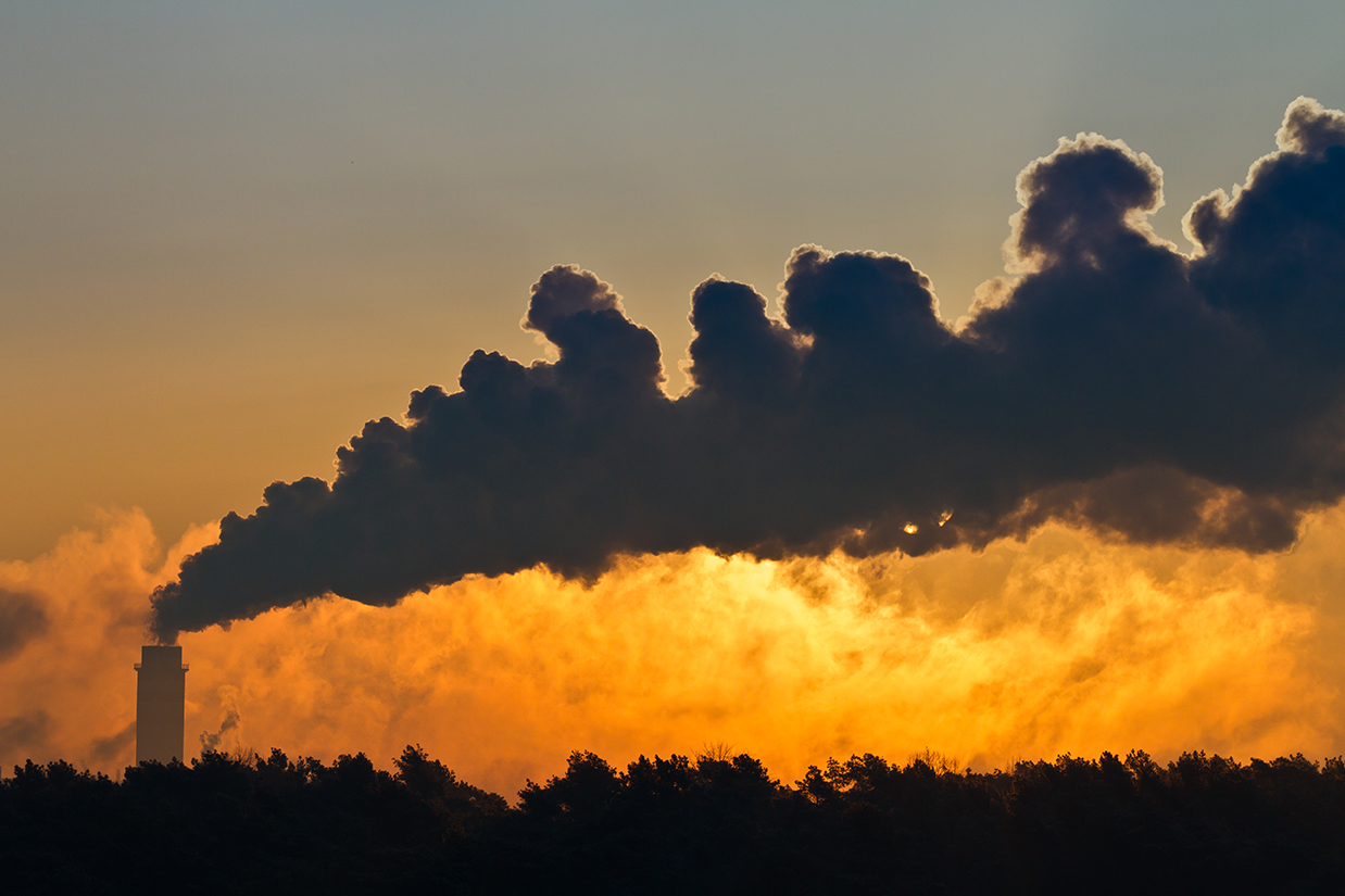 La IEA confirma que las tecnologías bajas en emisiones impulsaron el crecimiento energético mundial en 2025