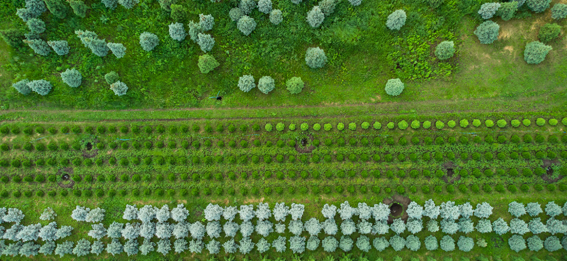 La Plataforma para los Combustibles Renovables destaca el potencial de Extremadura para liderar la producción de energías renovables
