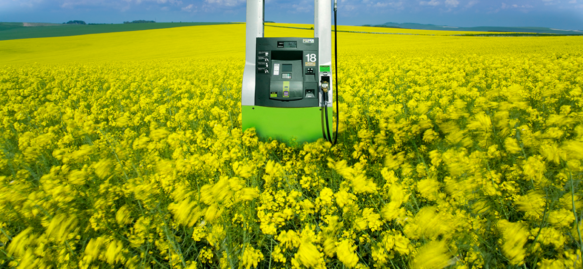 Los biocombustibles pueden ayudar a reducir el coste del combustible y reforzar la independencia energética europea