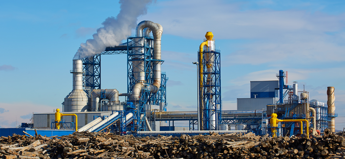 Un proyecto europeo impulsado por el CSIC y la UPV busca producir combustibles sostenibles reduciendo hasta un 90 % los residuos