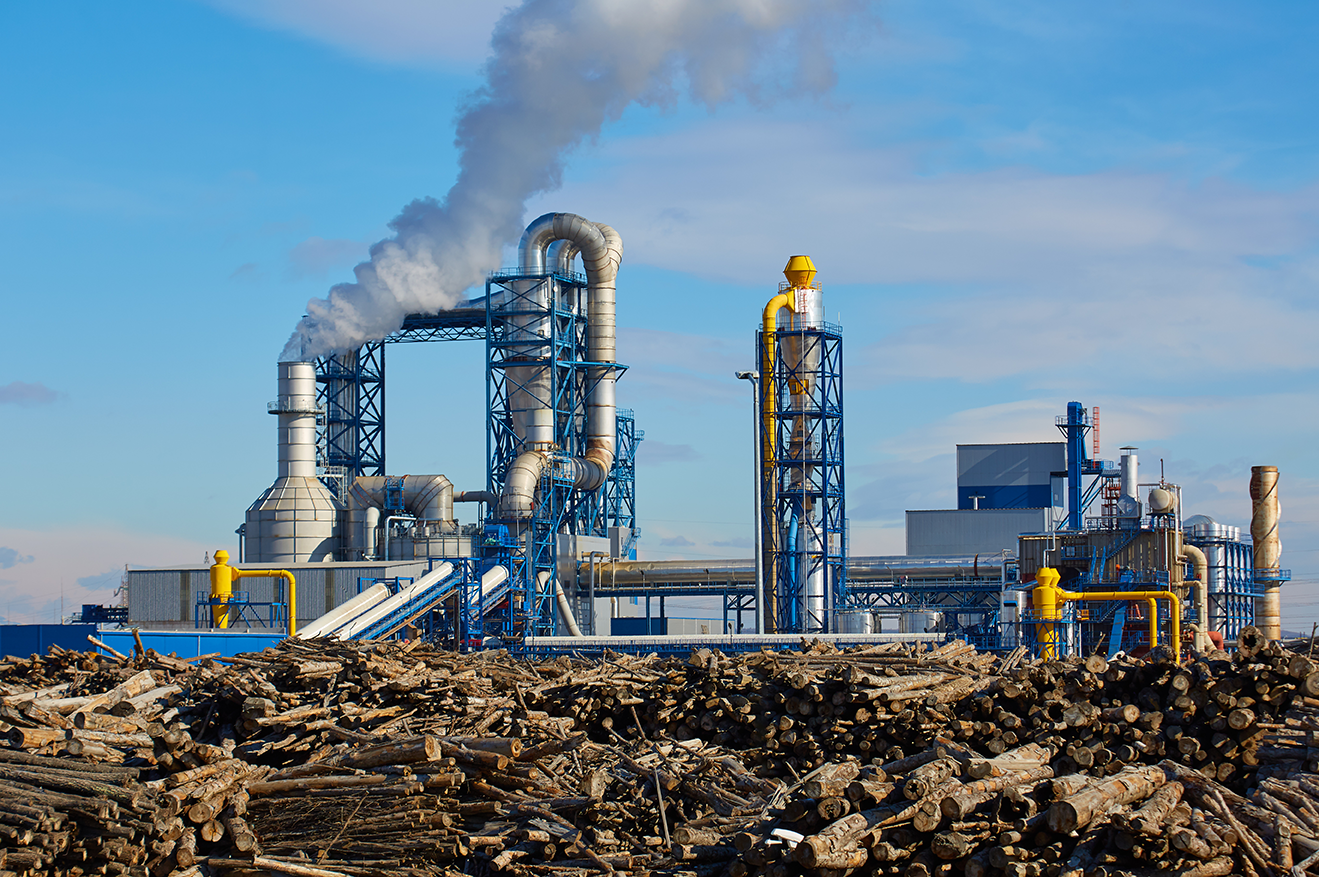 un-proyecto-europeo-impulsado-por-el-csic-y-la-upv-busca-producir-combustibles-sostenibles-reduciendo-hasta-un-90-los-residuos
